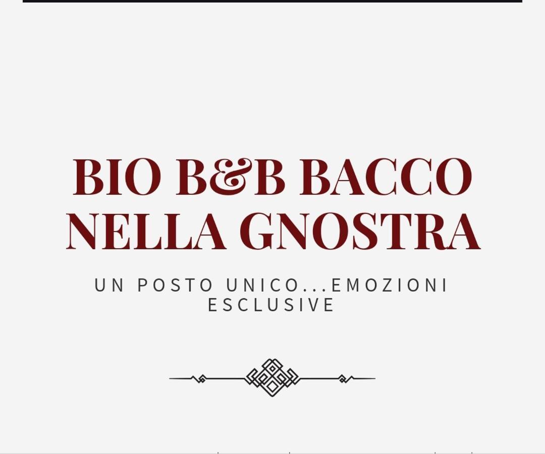 Bio B&B Bacco Nella Gnostra Altamura Luaran gambar